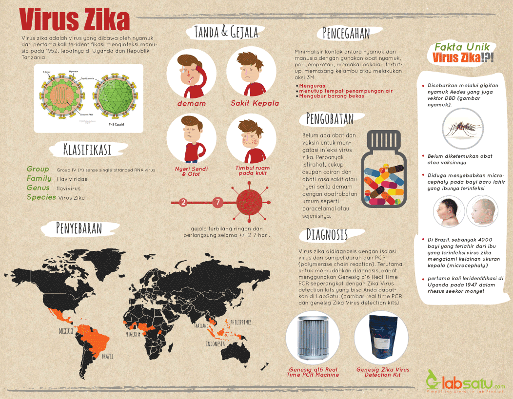 Hubungan Virus Zika dan Microcephaly yang Harus Anda Cermati