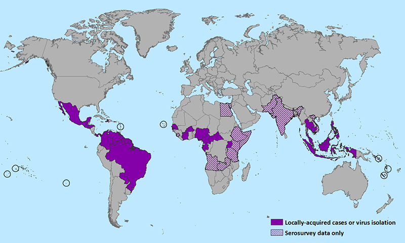 peta sebaran zika virus