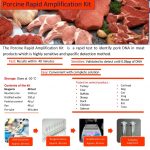 Rapid Porcine Amplification Kit 