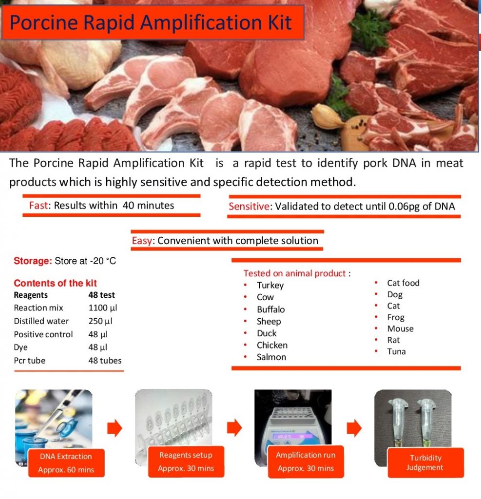 Rapid Porcine Amplification Kit 